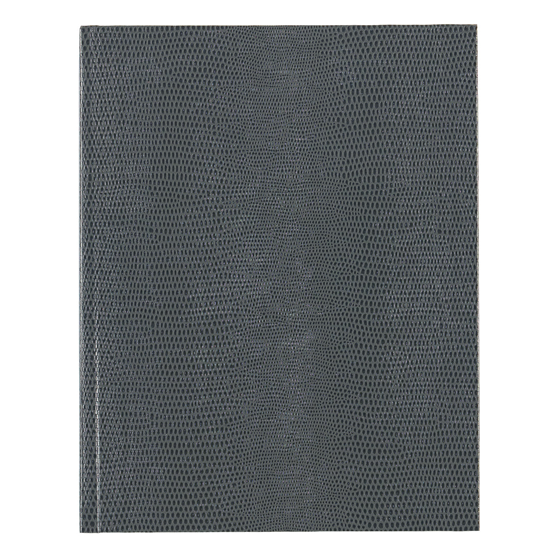 Executive Journal#color_gray