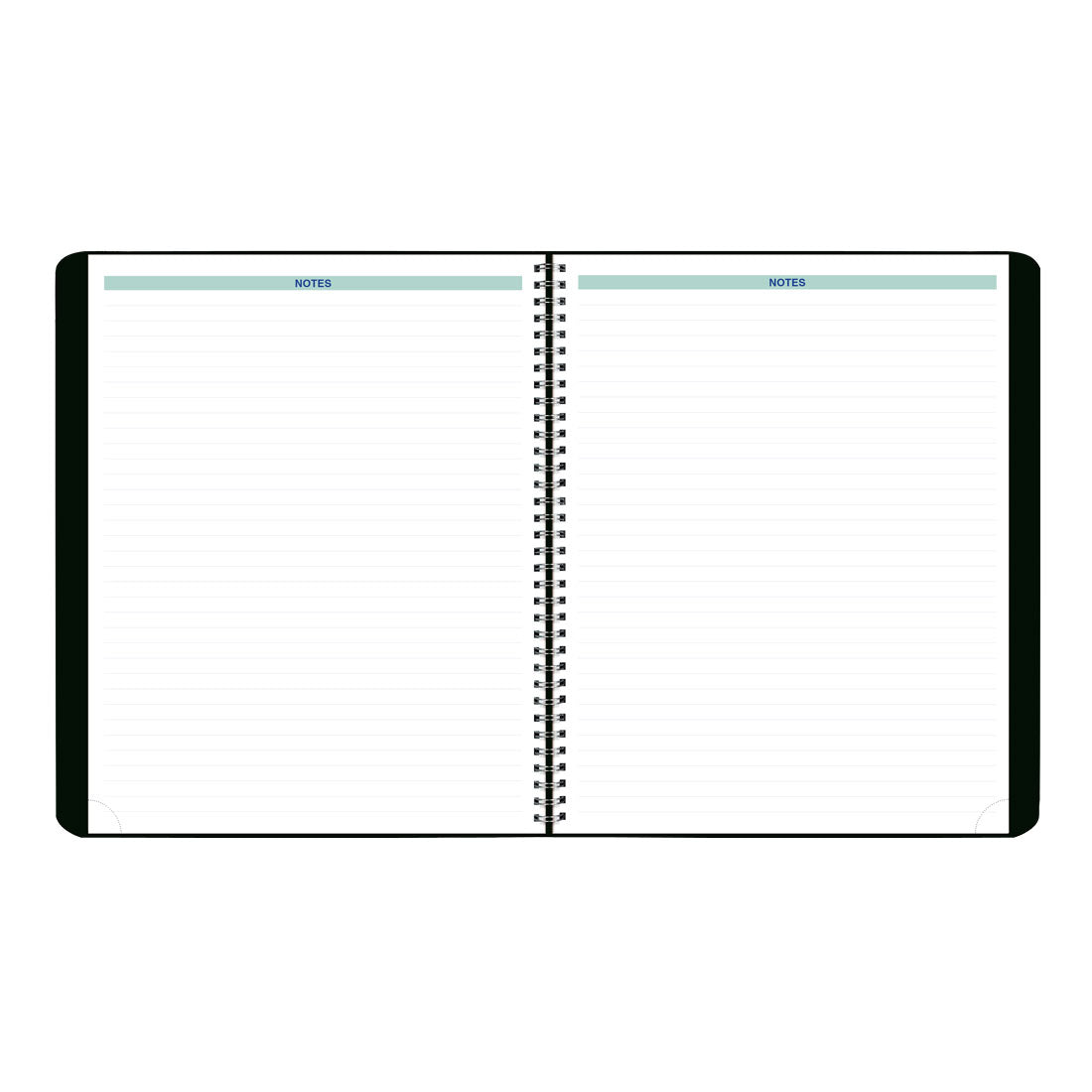 Blueline Essential Plan & Link™ Monthly Planner, Black, 2026 C1512.81T-26