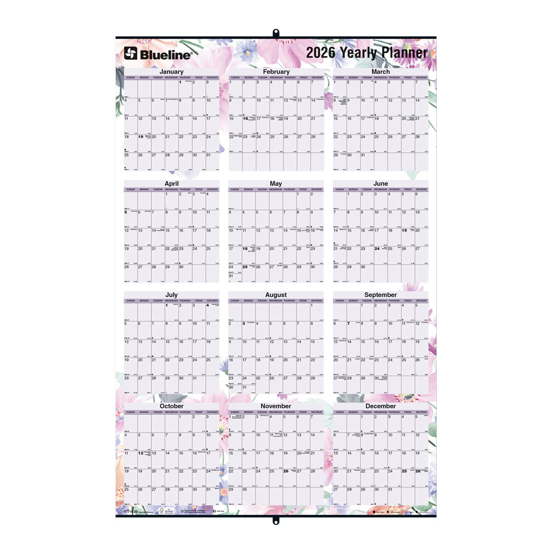 Blueline Colorful Laminated Yearly Wall Planner, Erasable - Reversible, Passion, 2026 C171920-26