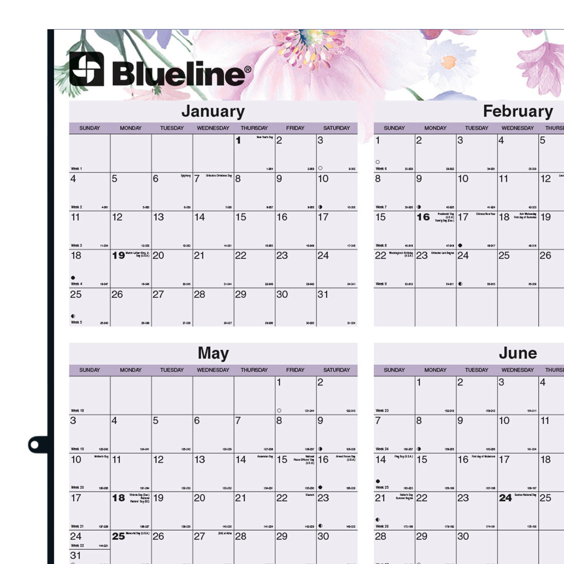 Blueline Colorful Laminated Yearly Wall Planner, Erasable - Reversible, Passion, 2026 C171920-26