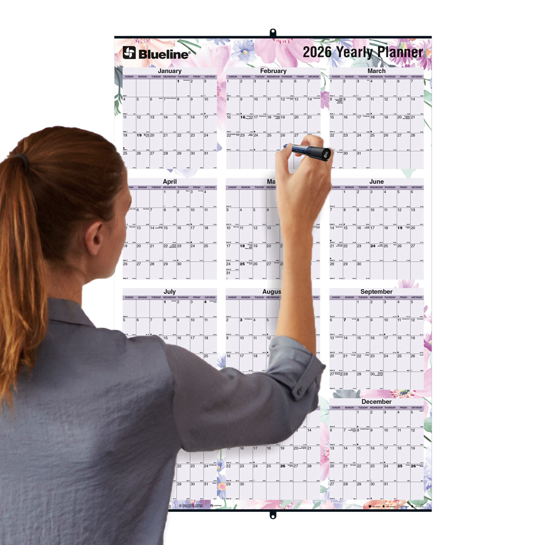 Blueline Colorful Laminated Yearly Wall Planner, Erasable - Reversible, Passion, 2026 C171920-26