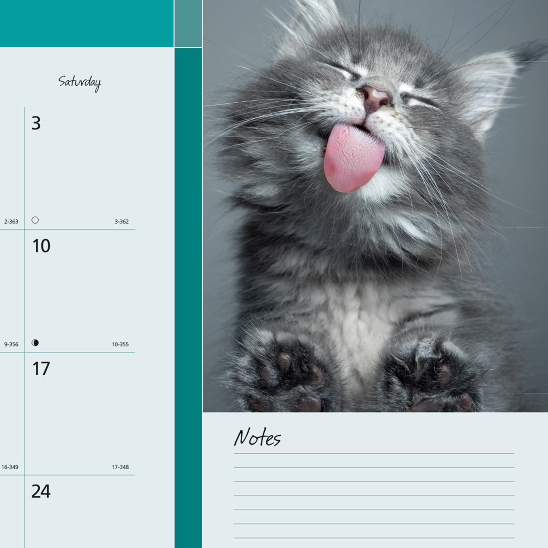 Blueline Furry Collection Monthly Desk Pad Calendar, 2026 C194115-26