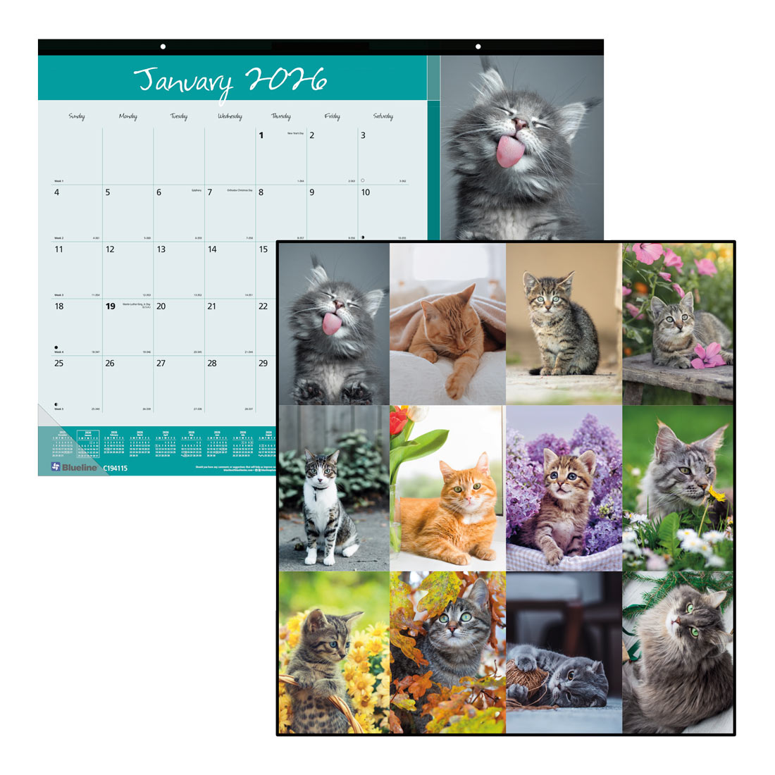 Blueline Furry Collection Monthly Desk Pad Calendar, 2026 C194115-26