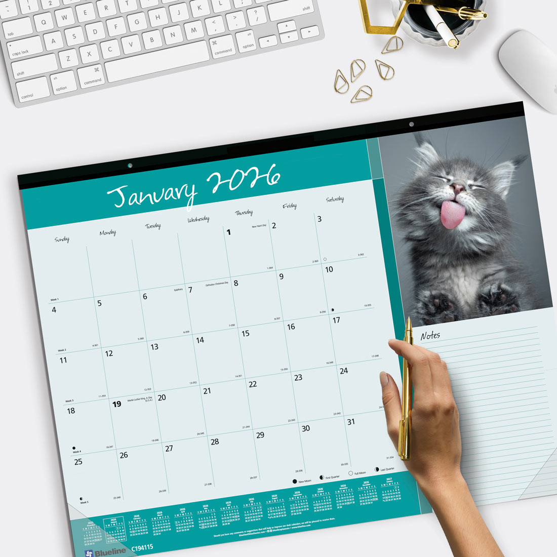 Blueline Furry Collection Monthly Desk Pad Calendar, 2026 C194115-26