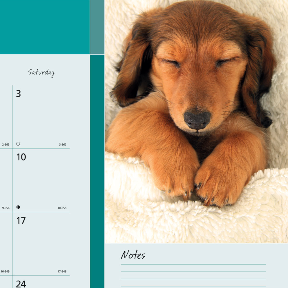 Blueline Man's Best Friend Monthly Desk Pad Calendar, 2026 C194116-26