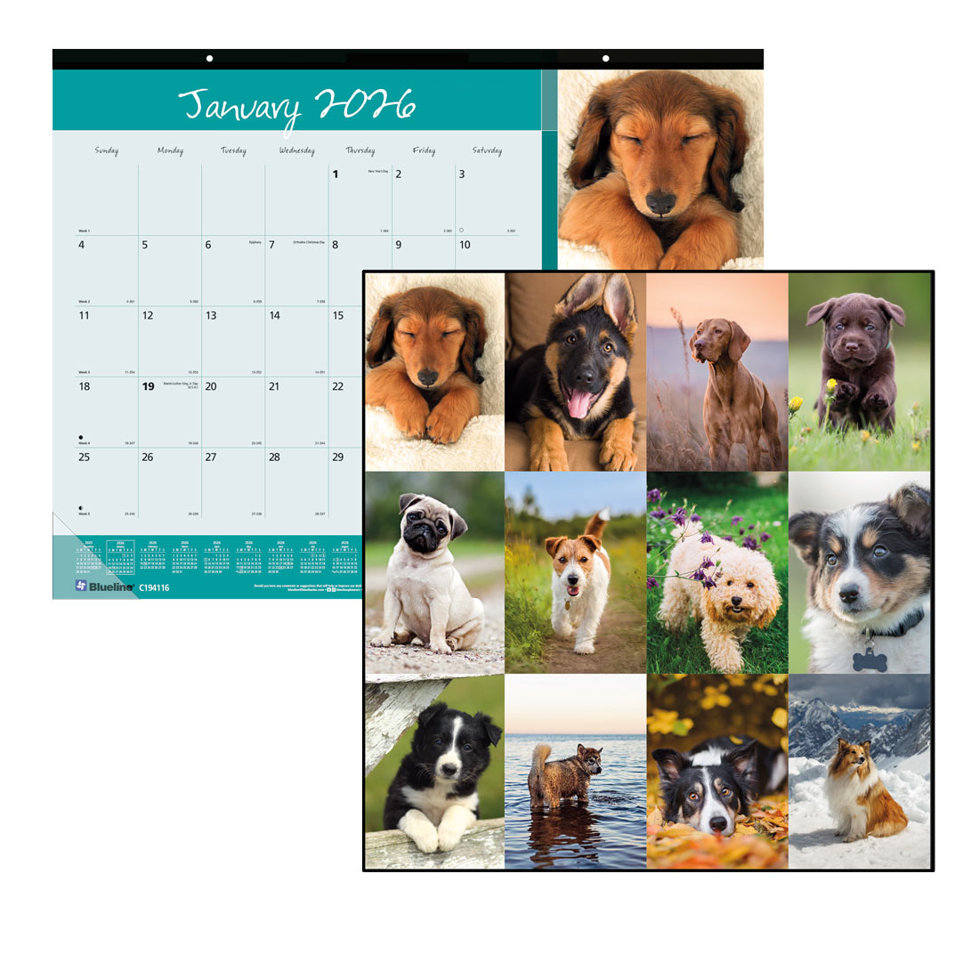 Blueline Man's Best Friend Monthly Desk Pad Calendar, 2026 C194116-26
