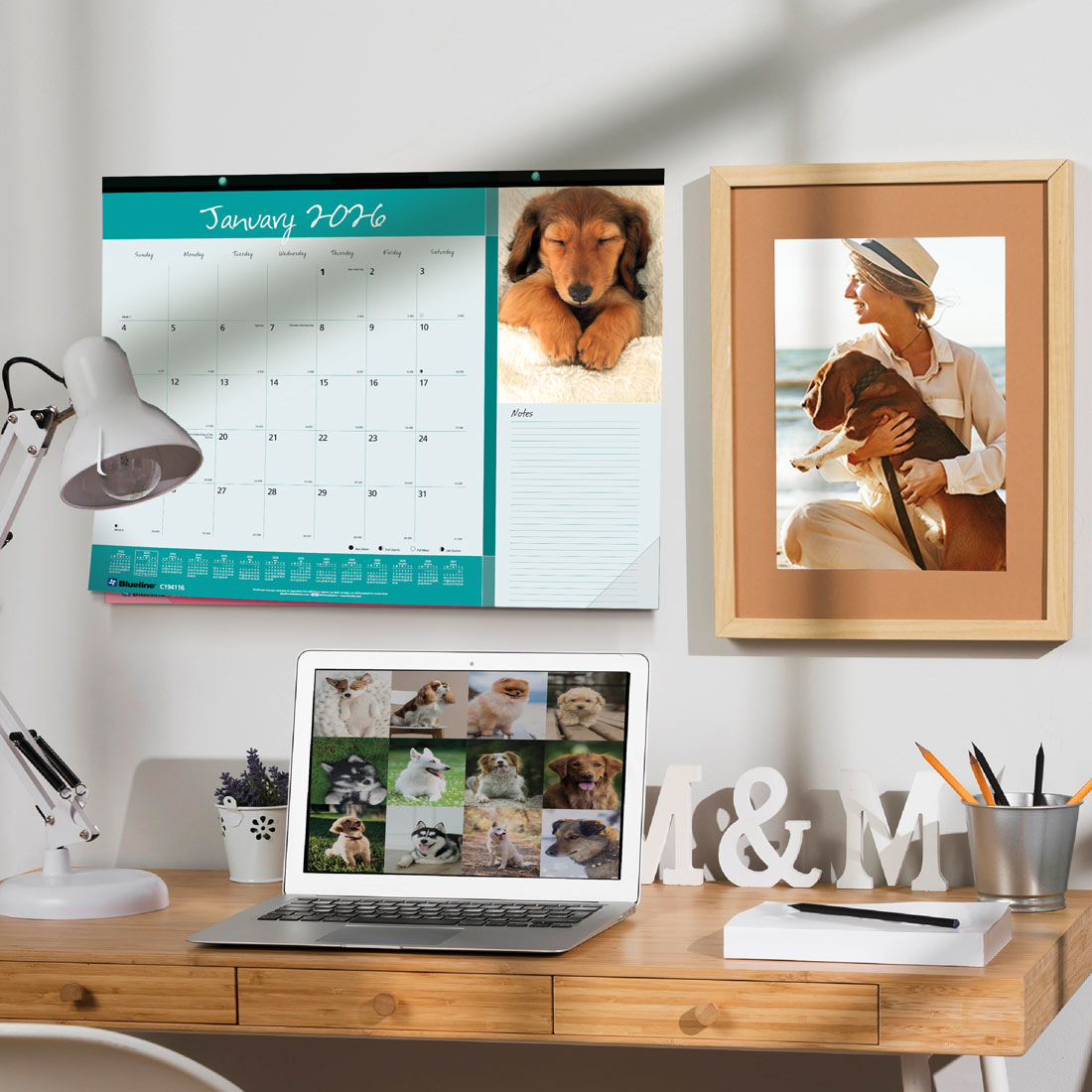Blueline Man's Best Friend Monthly Desk Pad Calendar, 2026 C194116-26