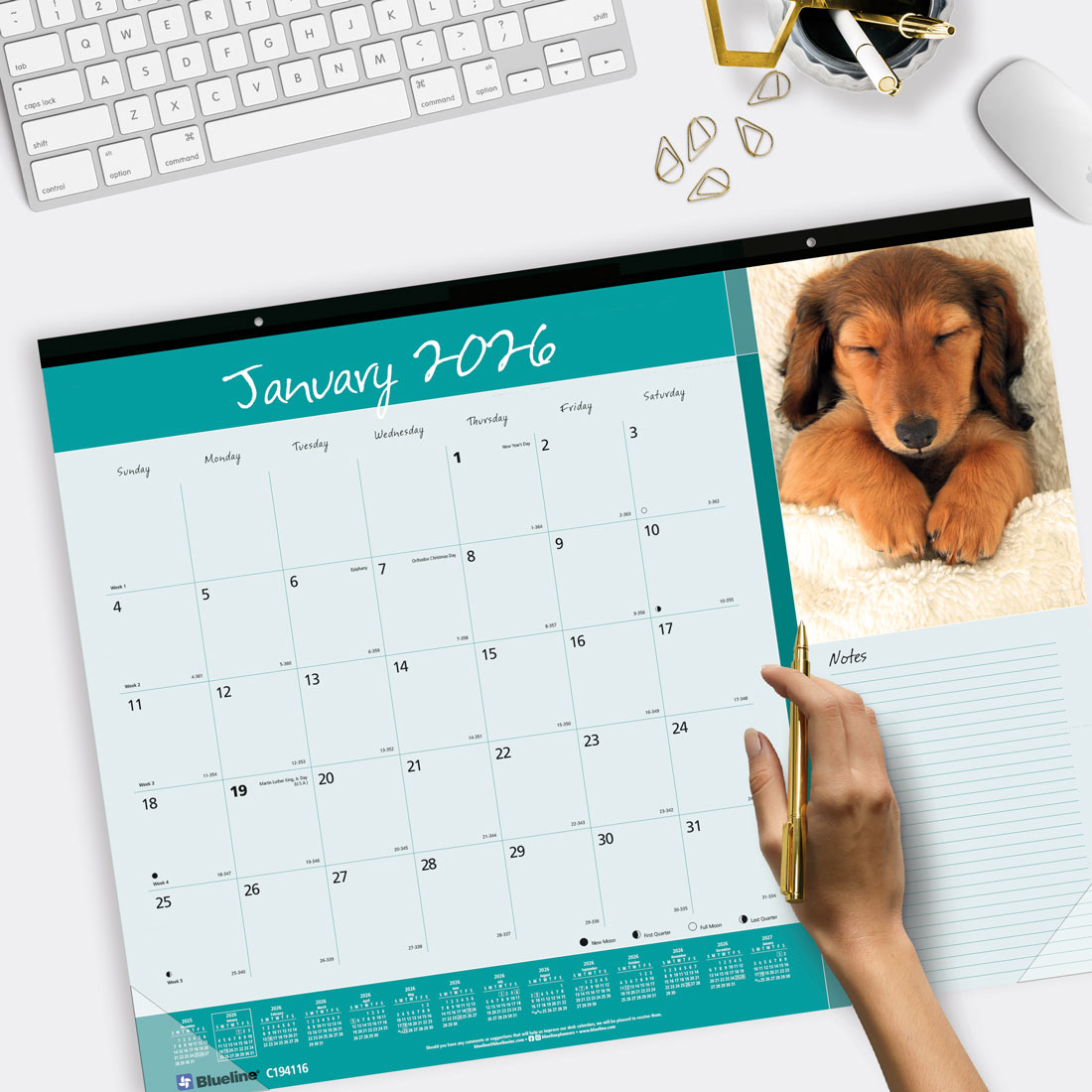 Blueline Man's Best Friend Monthly Desk Pad Calendar, 2026 C194116-26