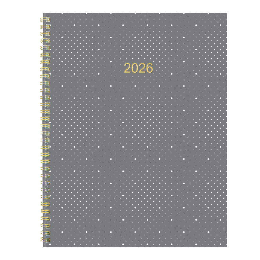 Blueline Minimalist Monthly Planner 2026 C701PT.ASX-26