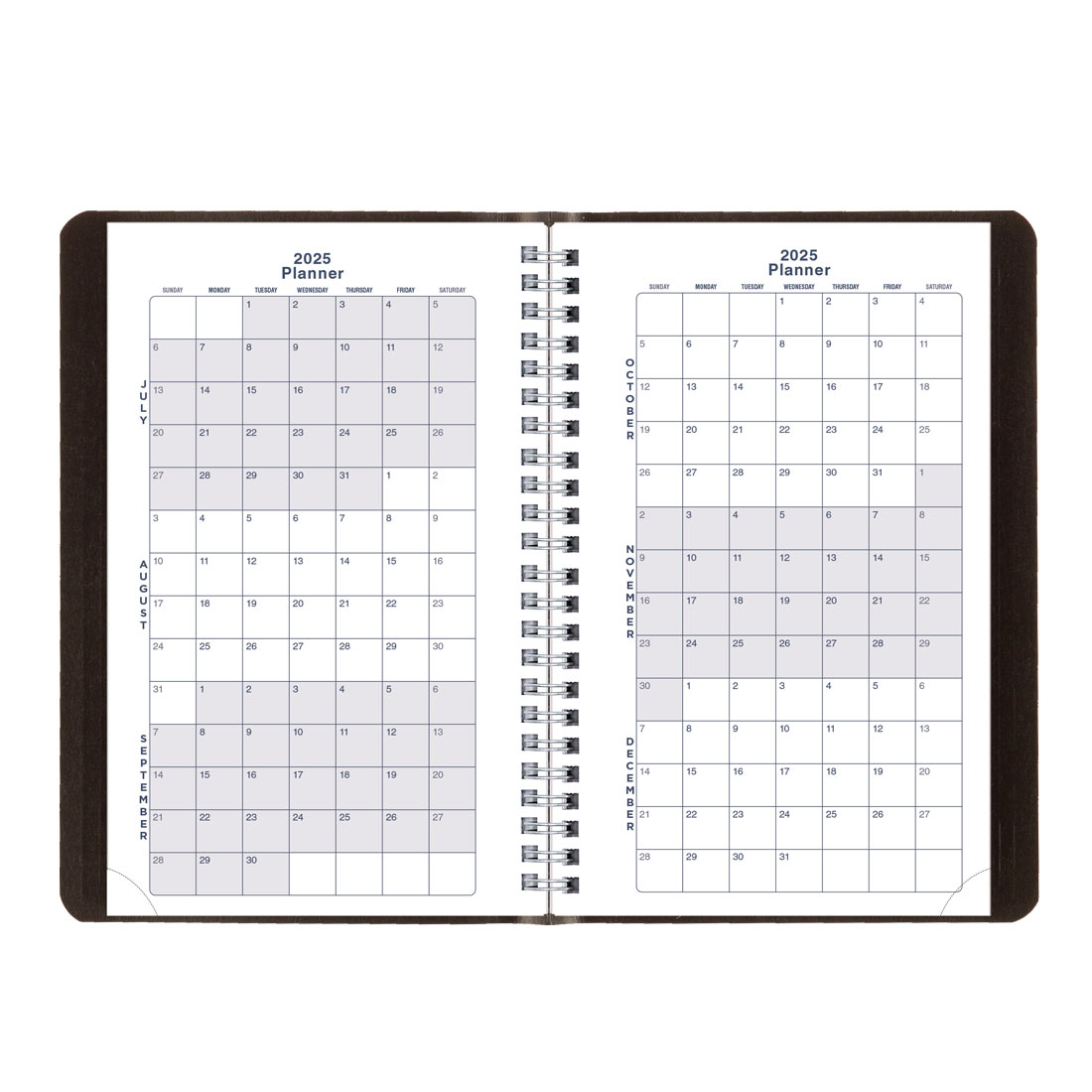 Academic Weekly Planner, Classic Black, 2025-2026, Blueline CA101.BLK-26 #color_black