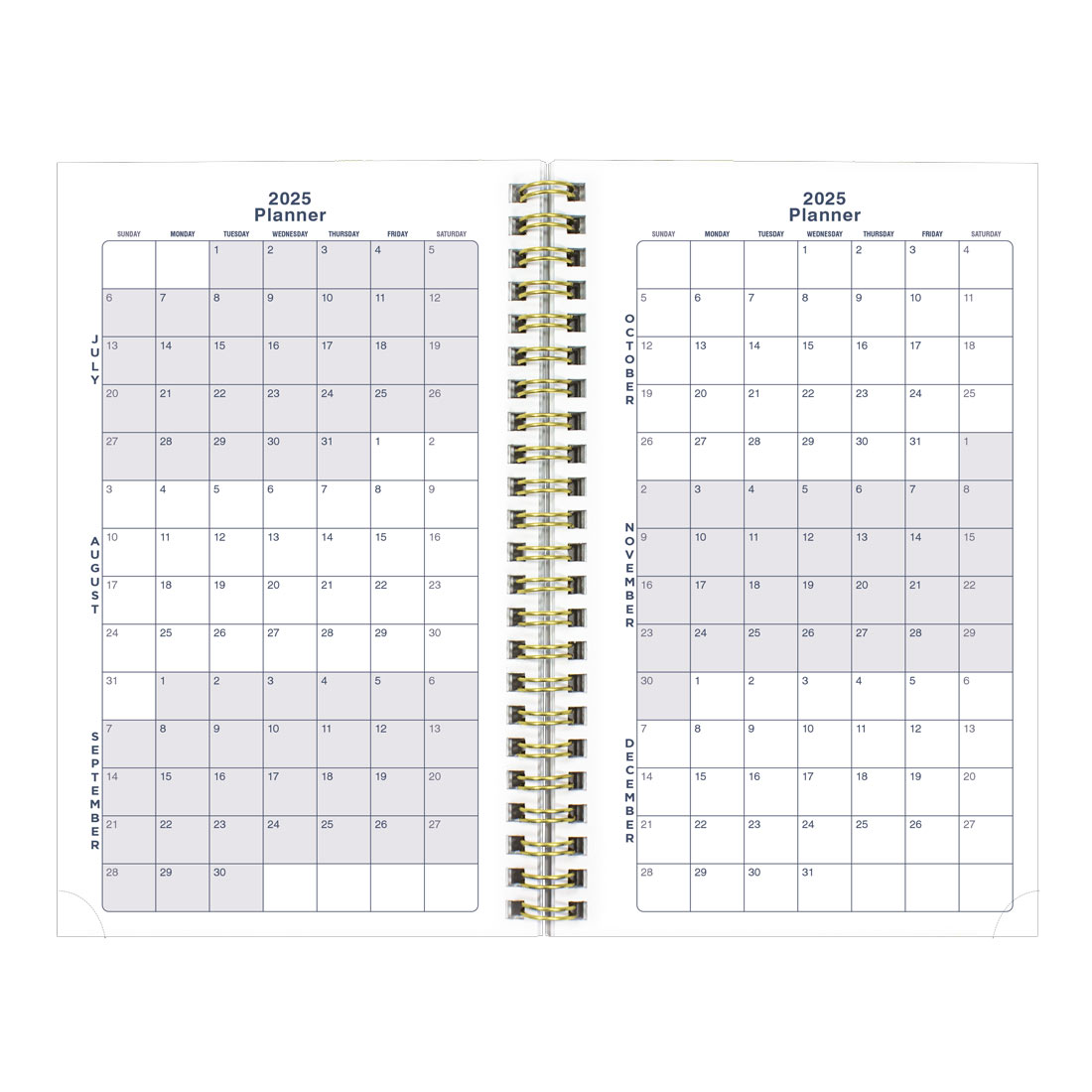 Academic Weekly Planner, Under the Sea, 2025-2026, Blueline CA114PH-26 #color_starfish