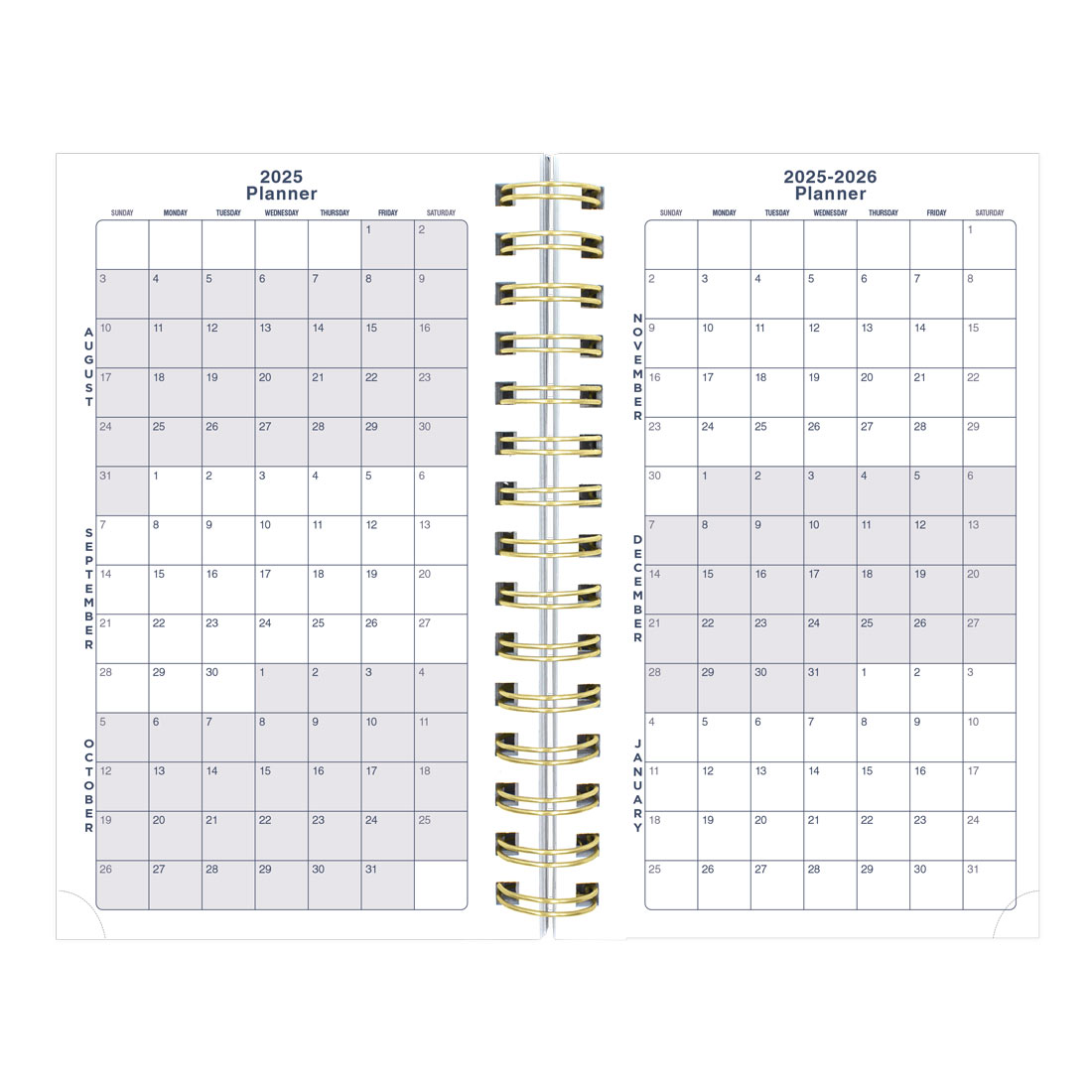 Academic Daily Planner, Blossom, 2025-2026, Blueline CA214PG-26 #color_blossom-white