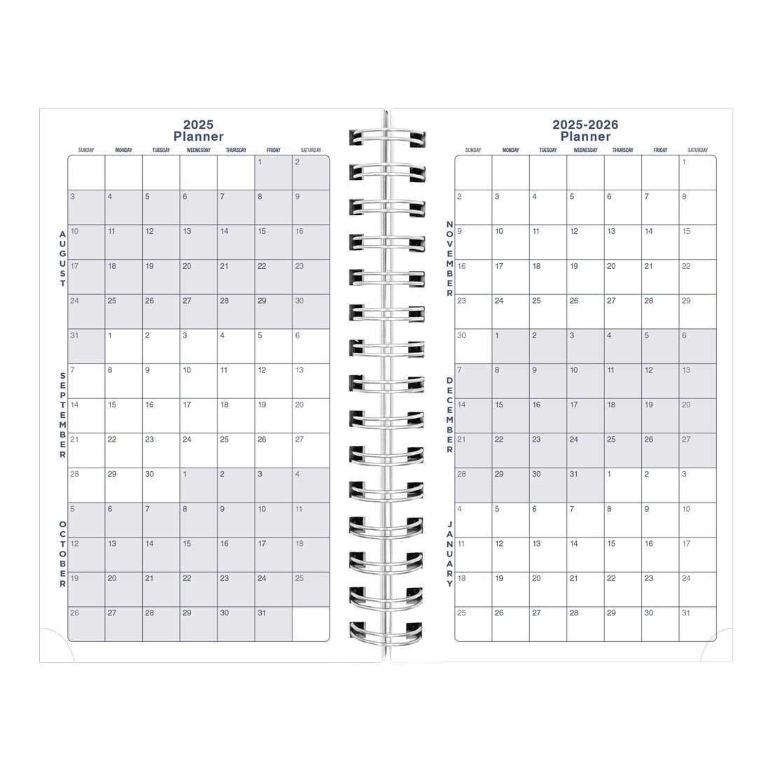 Academic Daily Planner, Blossom, 2025-2026, Blueline CA214PG-26 #color_blossom-navy