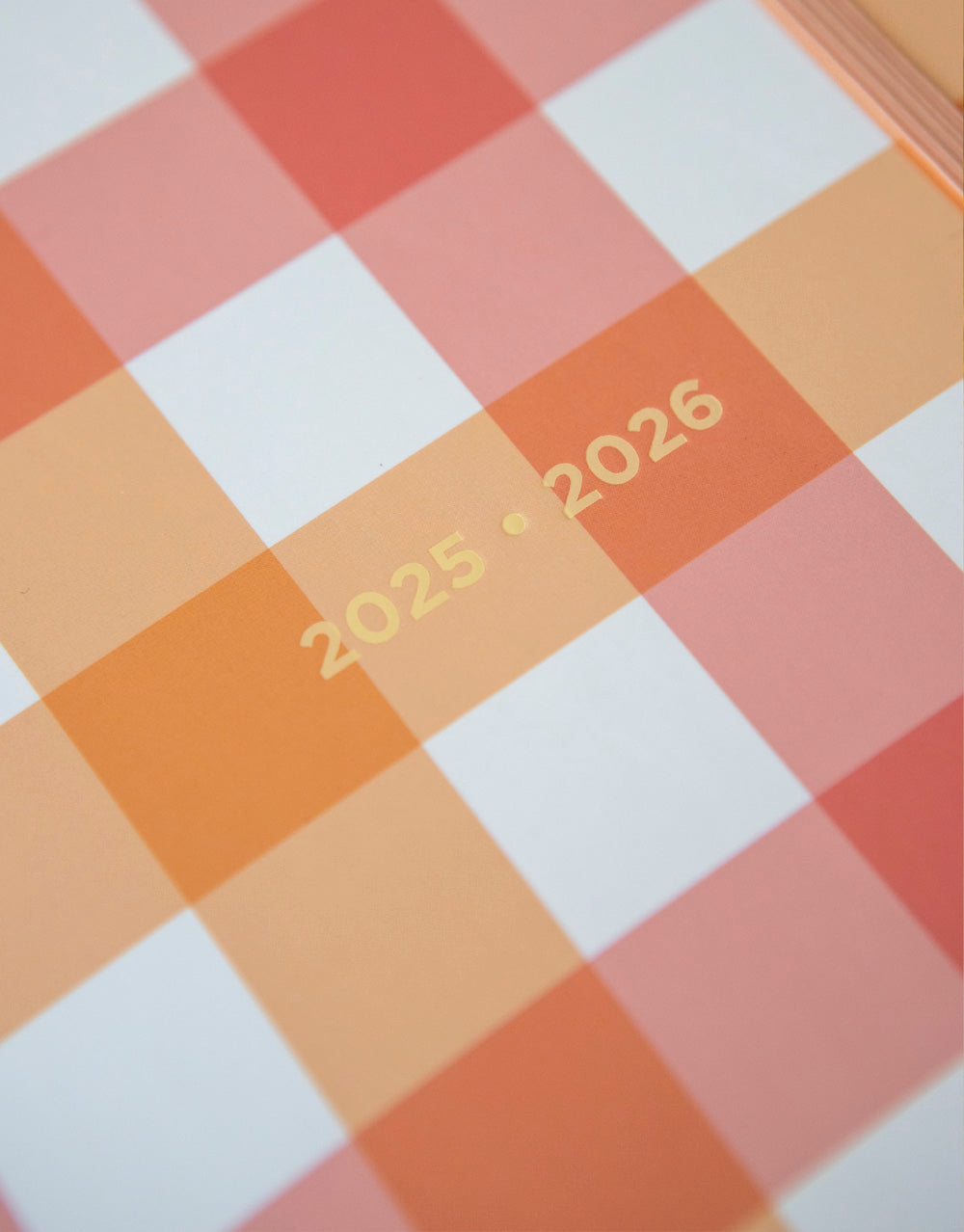 Letts Gingham Planners 2025-2026 - #color_coral