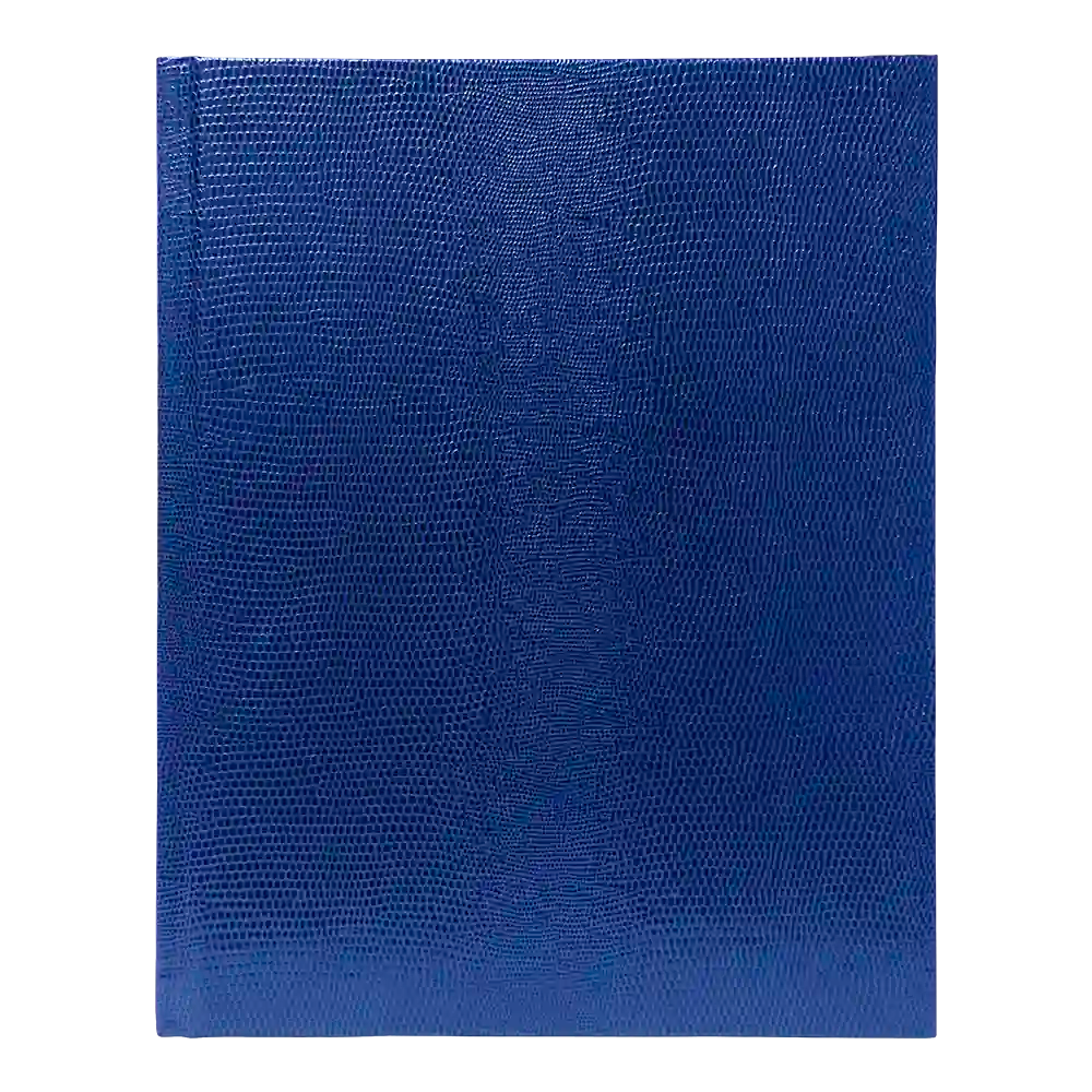 Executive Journal#color_blue