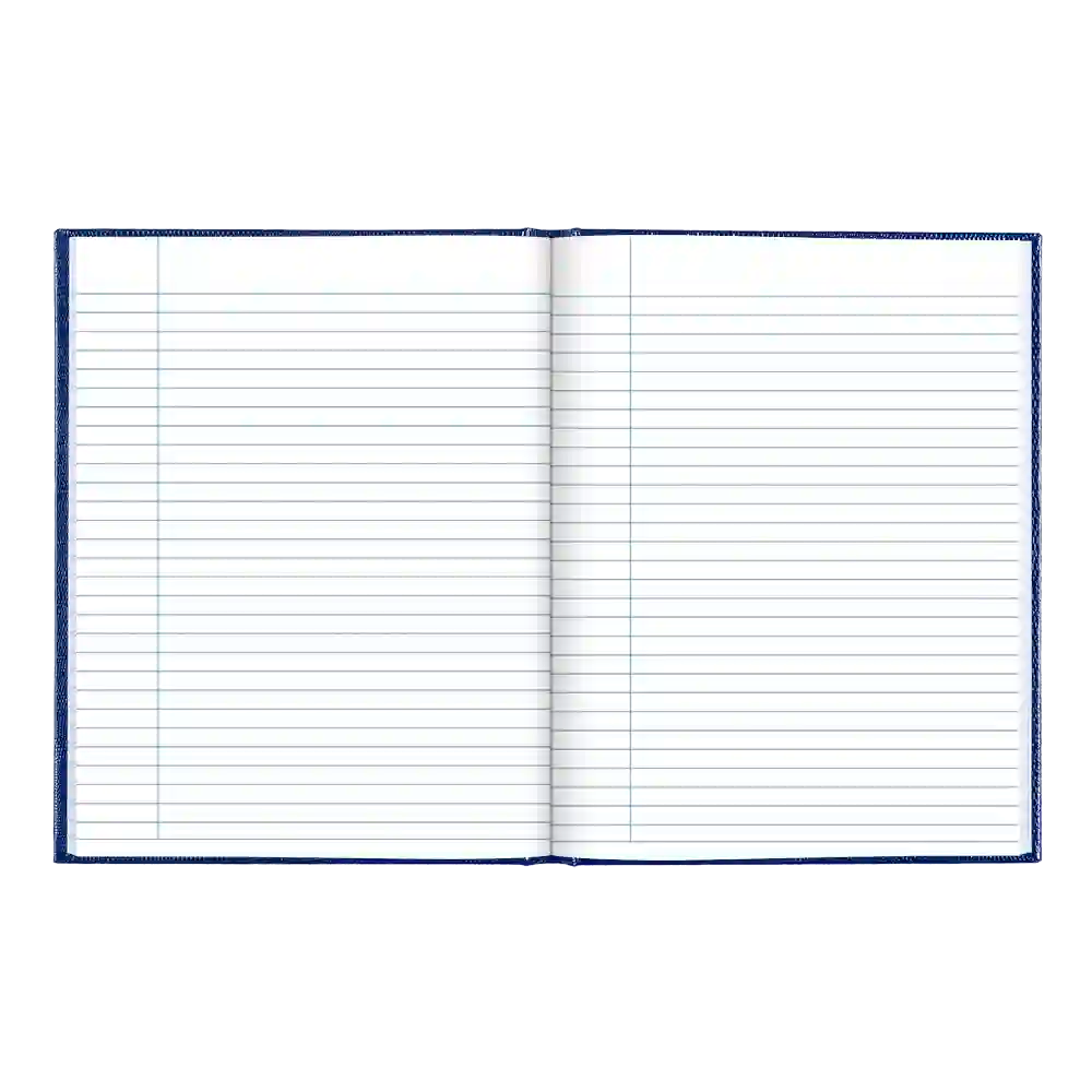 Executive Journal#color_blue