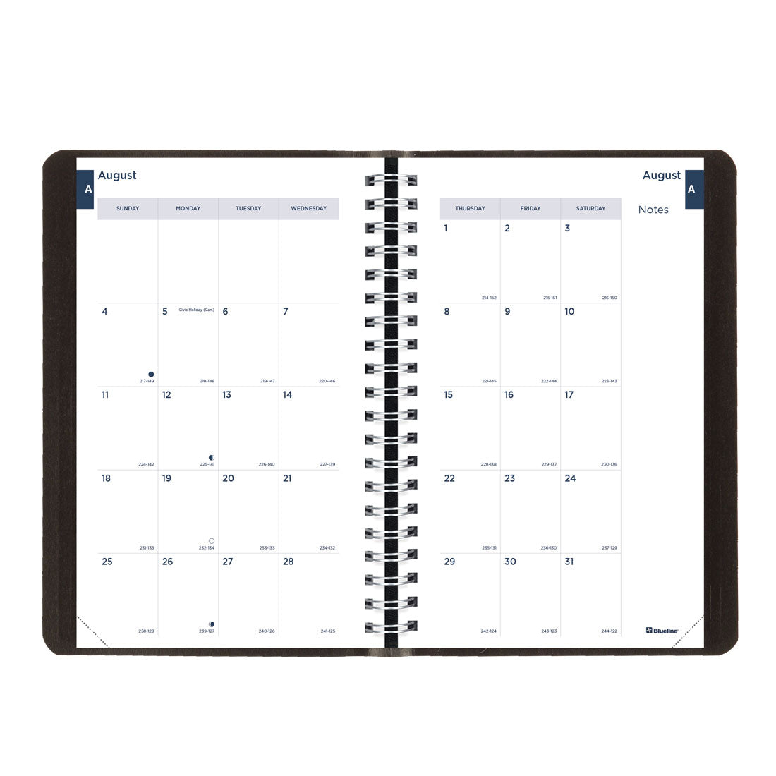 Academic Daily Planner 2024-2025, Black, English, CA201.BLK