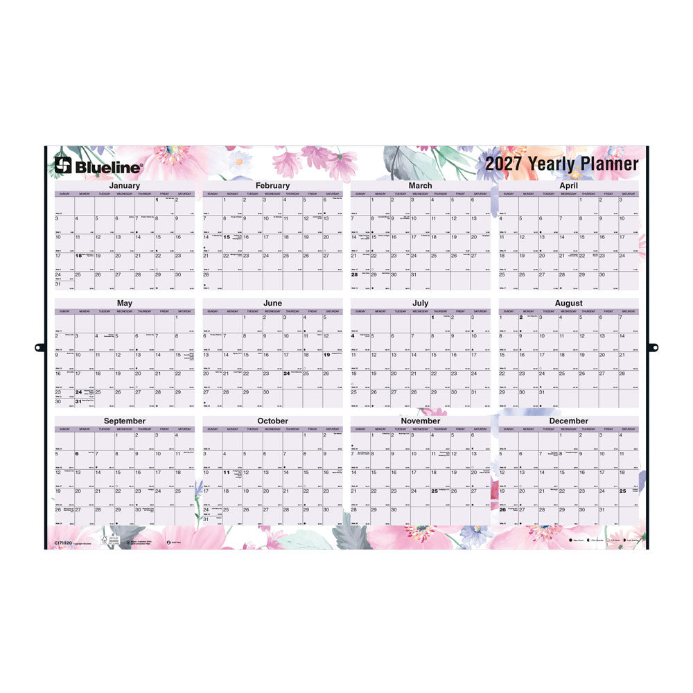 Yearly Wall Planner, Passion, 2027 C171920-27 Blueline