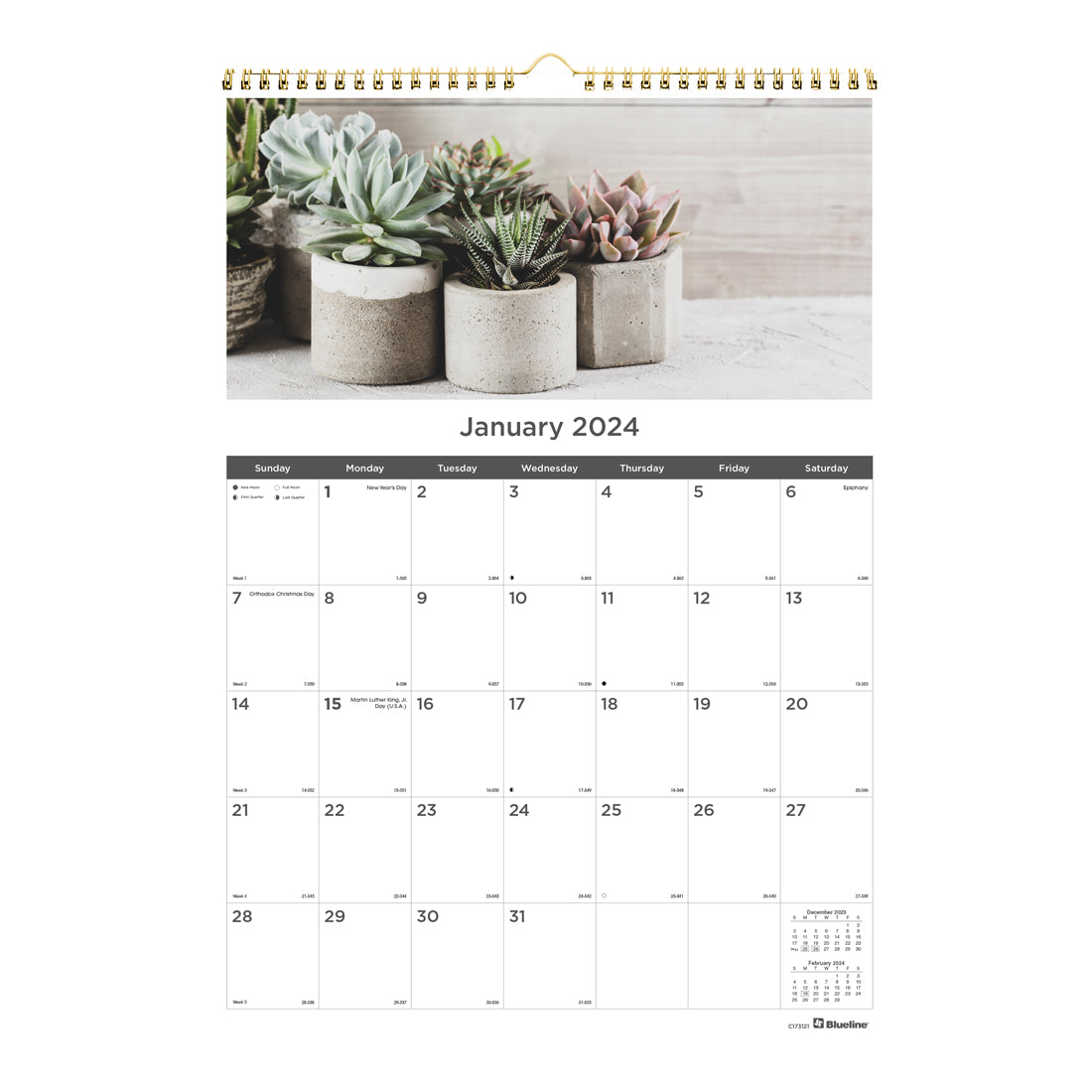 Succulent Plants Monthly Wall Calendar 2024