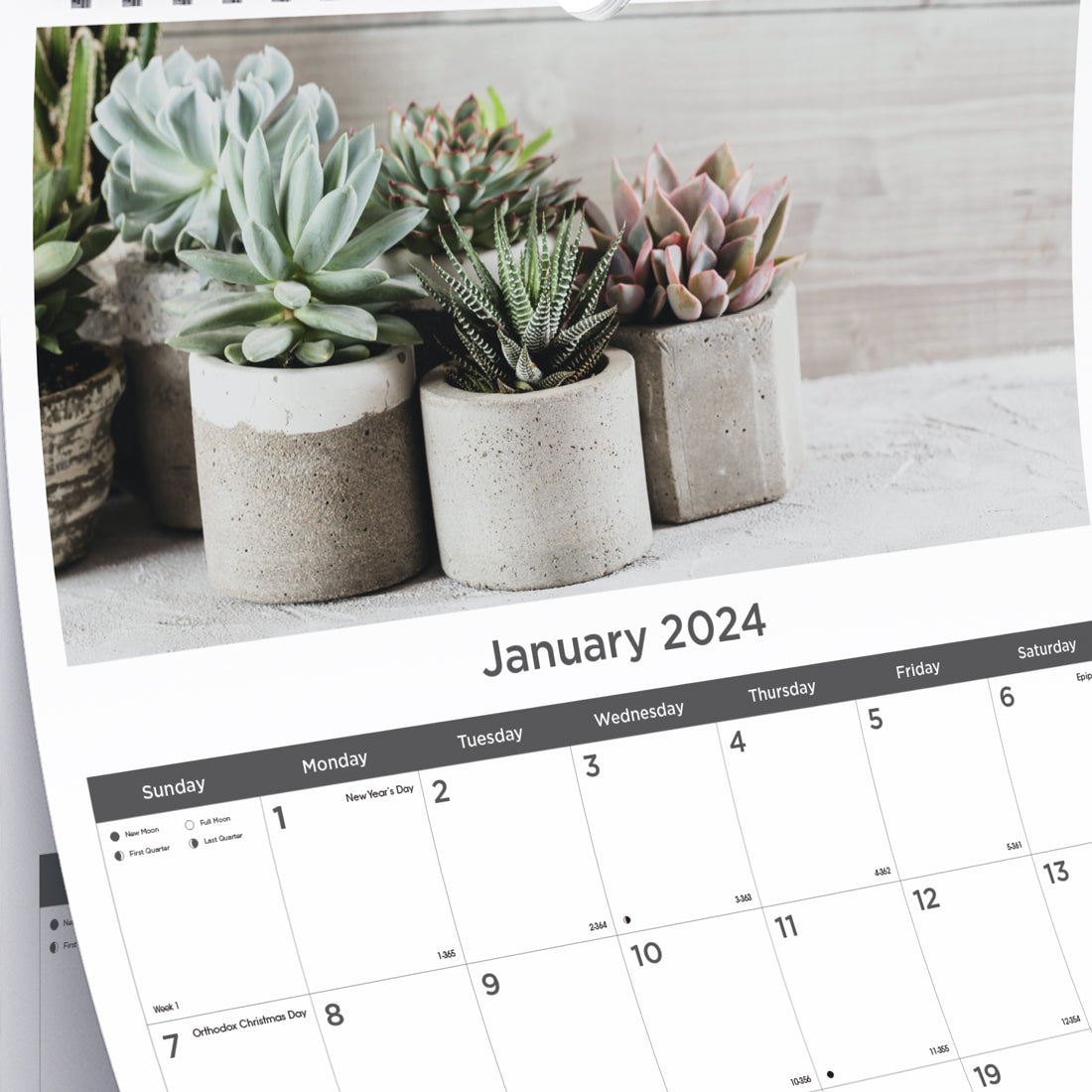 Succulent Plants Monthly Wall Calendar 2024