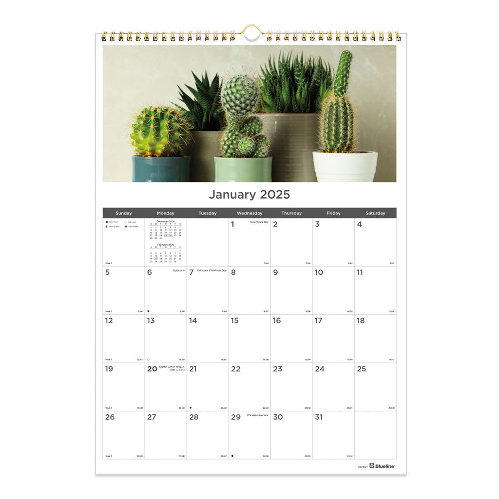 Succulent Plants Monthly Wall Calendar 2025 (C173121-25) | Blueline – Blueline USA succulent-plants-monthly-wall-calendar-2025-c173121-25-blueline-blueline-usa