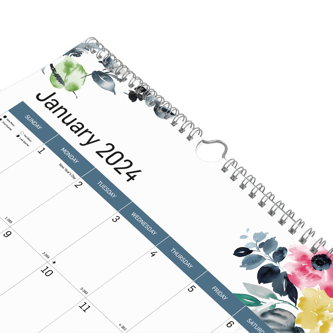 Watercolor Monthly Wall Calendar 2024