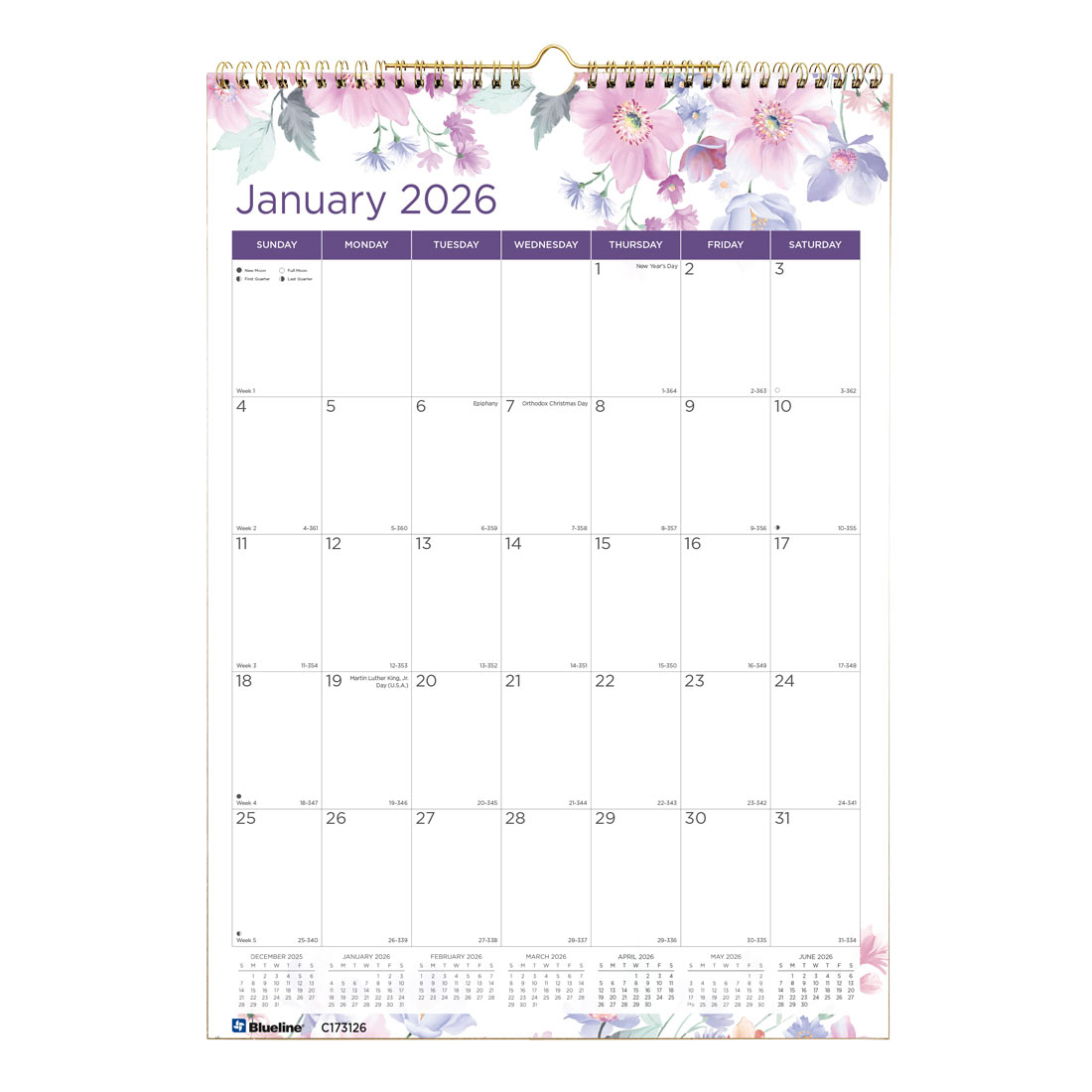 Blueline Colorful Monthly Wall Calendar, Passion, 2026 C173126-26