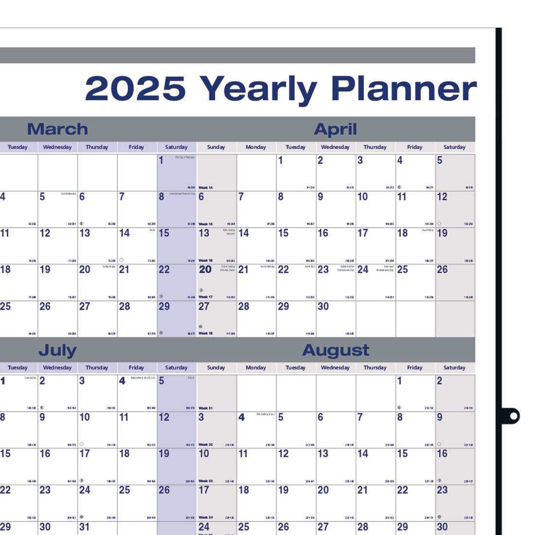 Net Zero Carbon™ Laminated Yearly Wall Calendar 2025, English, C177868