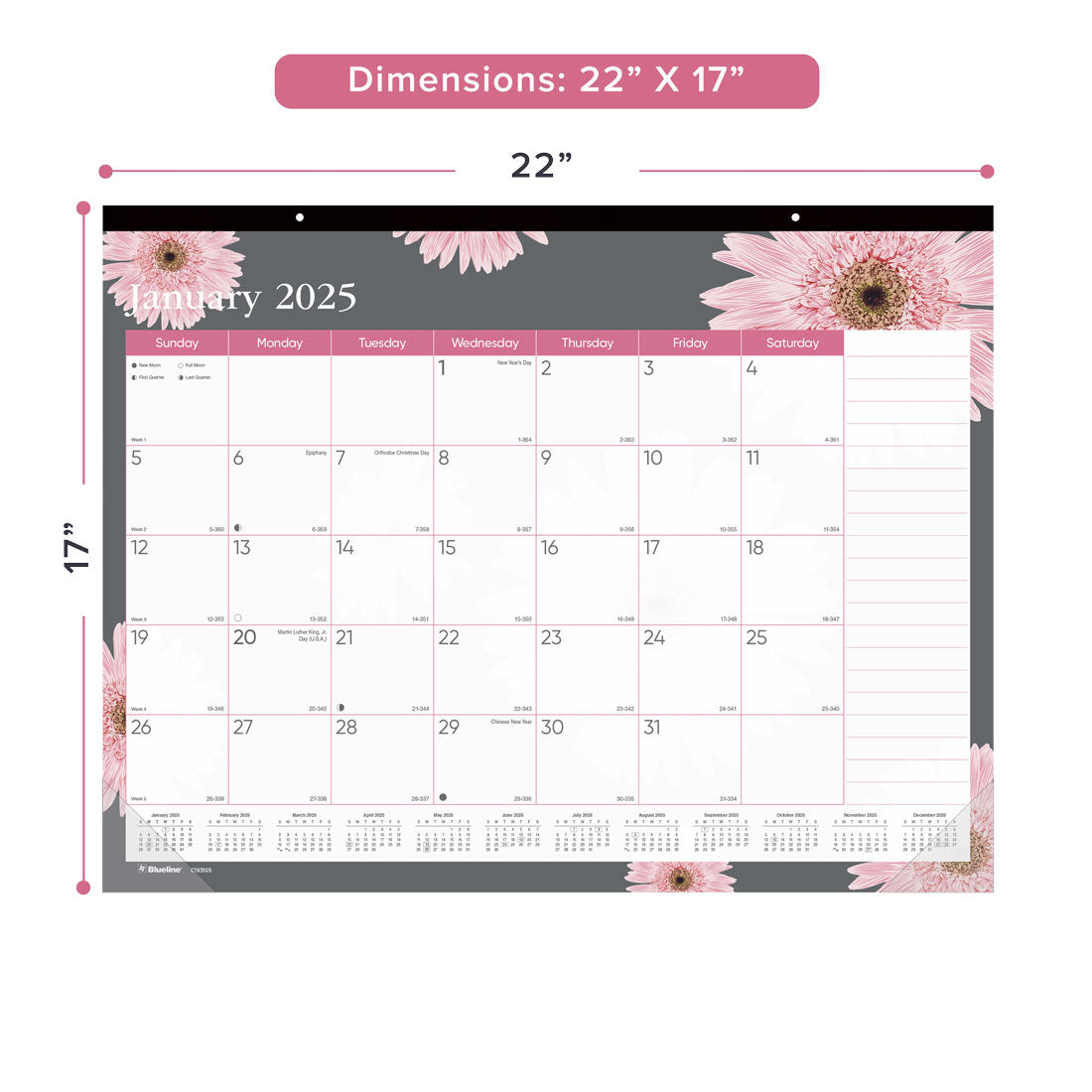 Pink Daisy Monthly Desk Pad 2025 (C193105-25)