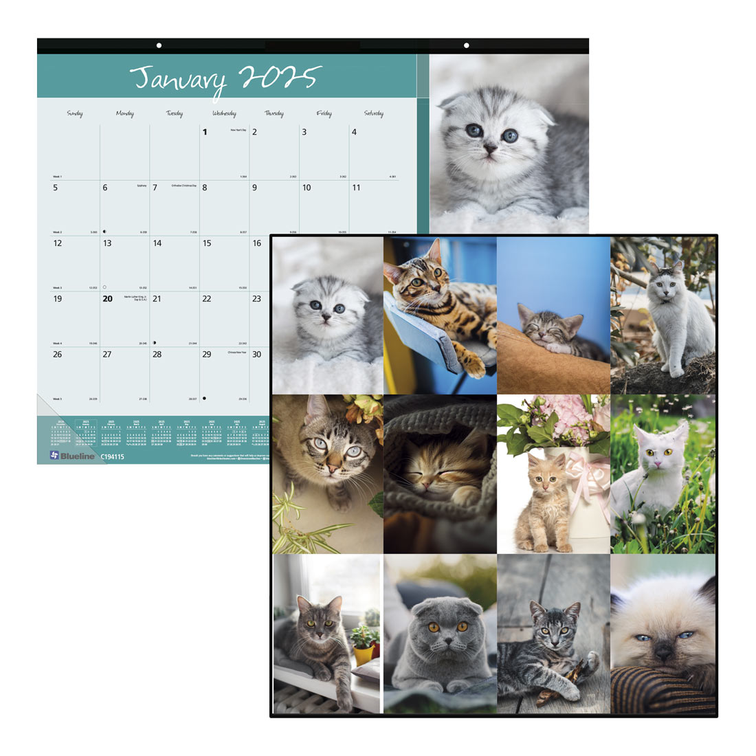 Furry Collection Monthly Desk Pad 2025 (C194115-25)