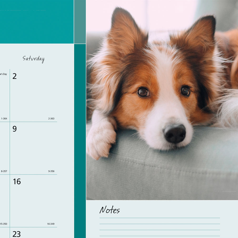 Monthly Desk Pad Calendar, Best Friend, 2027 C194116-27 Blueline