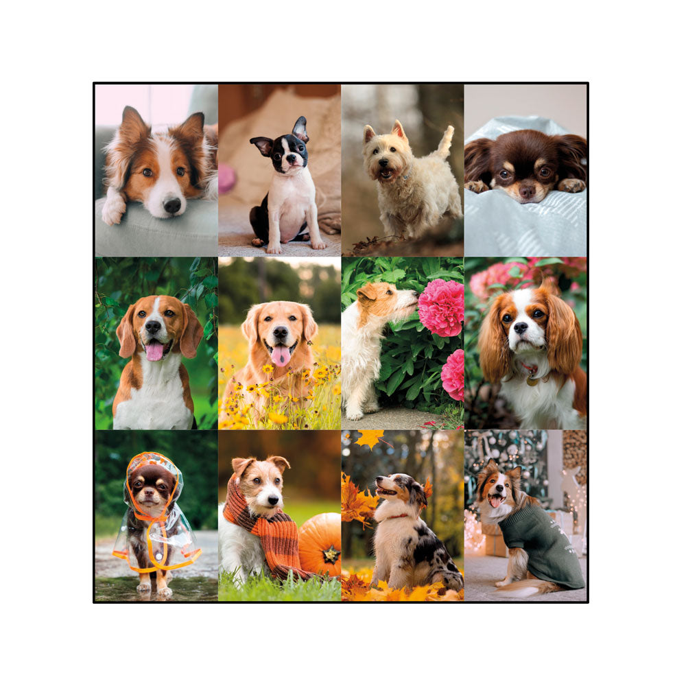 Monthly Desk Pad Calendar, Best Friend, 2027 C194116-27 Blueline