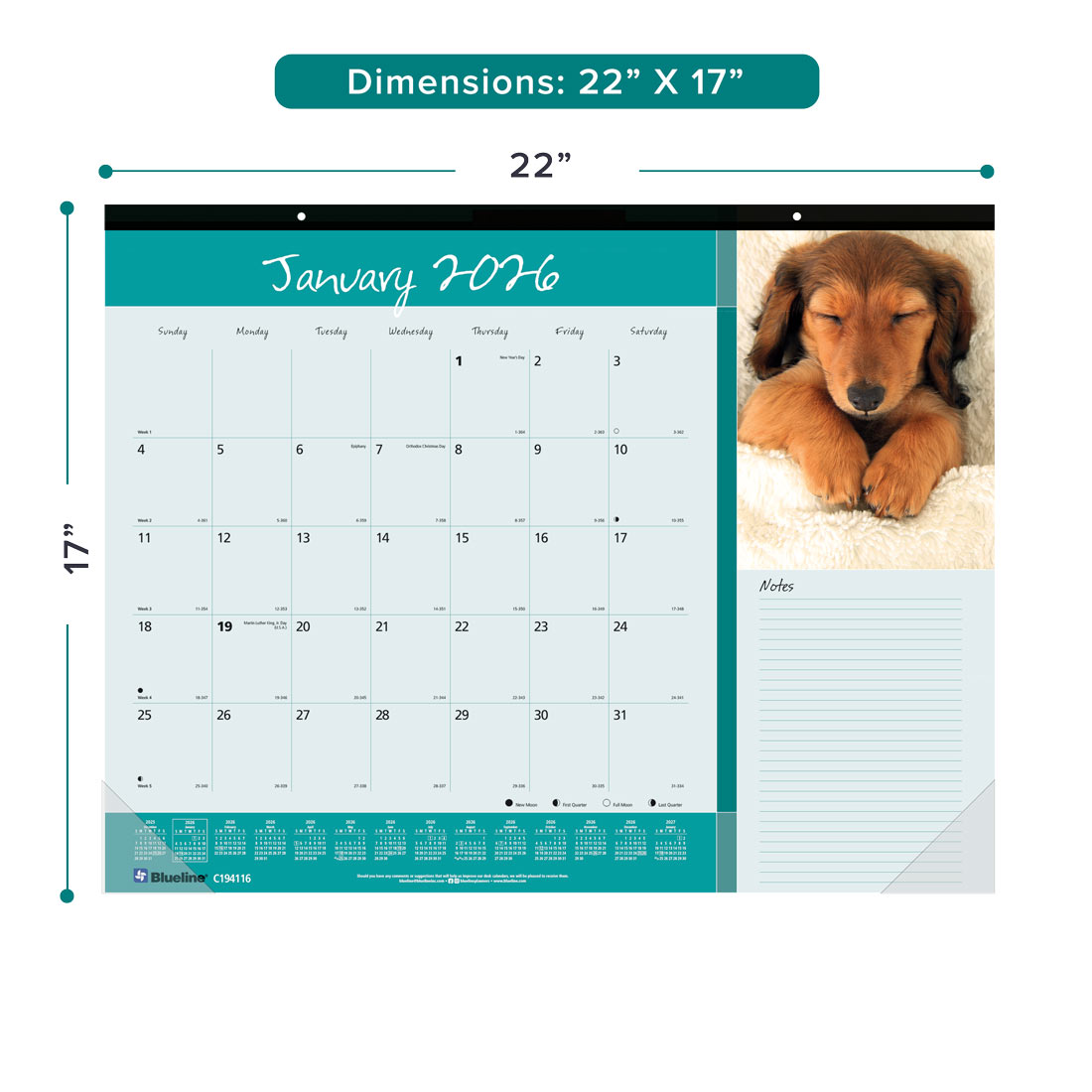 Blueline Man's Best Friend Monthly Desk Pad Calendar, 2026 C194116-26