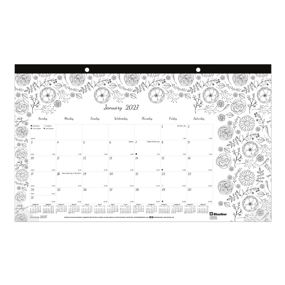 Monthly Desk Pad Calendar, DoodlePlan™, 2027 C2917001-27 Blueline