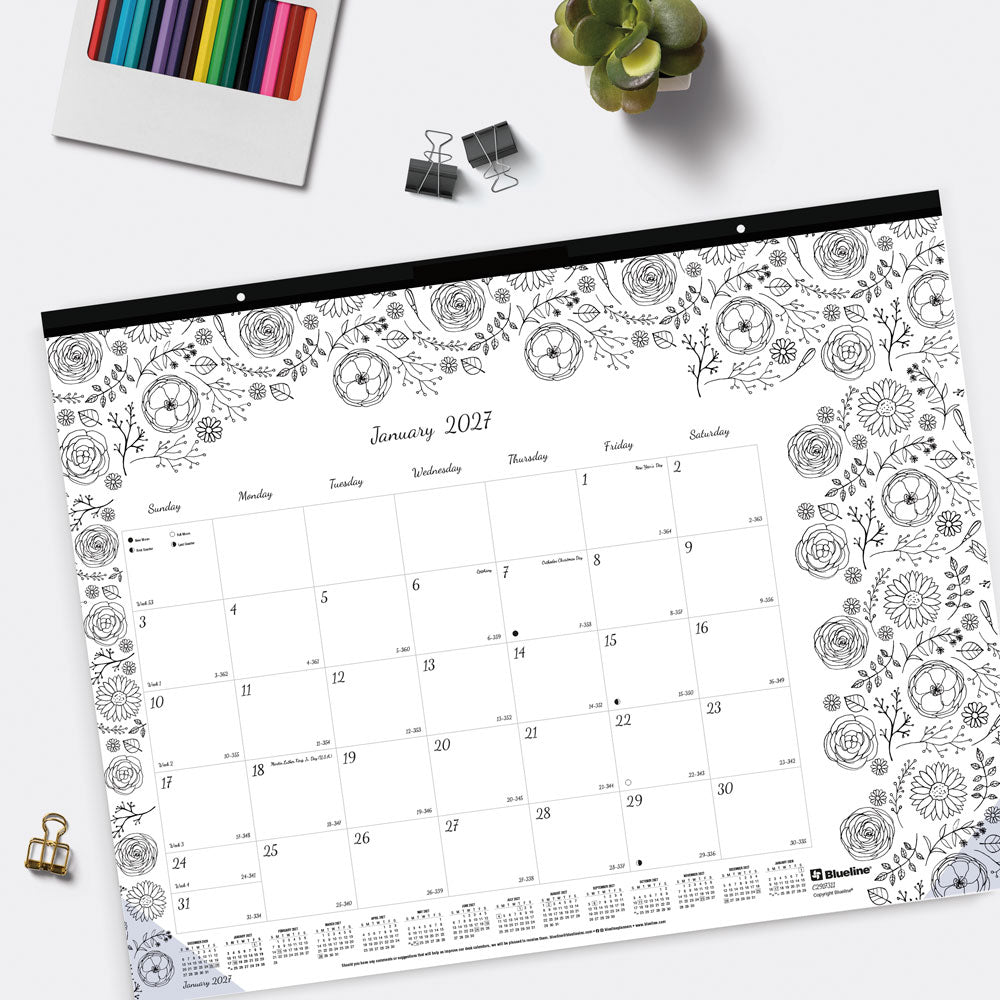 Monthly Desk Pad Calendar, DoodlePlan™, 2027 C2917311-27 Blueline