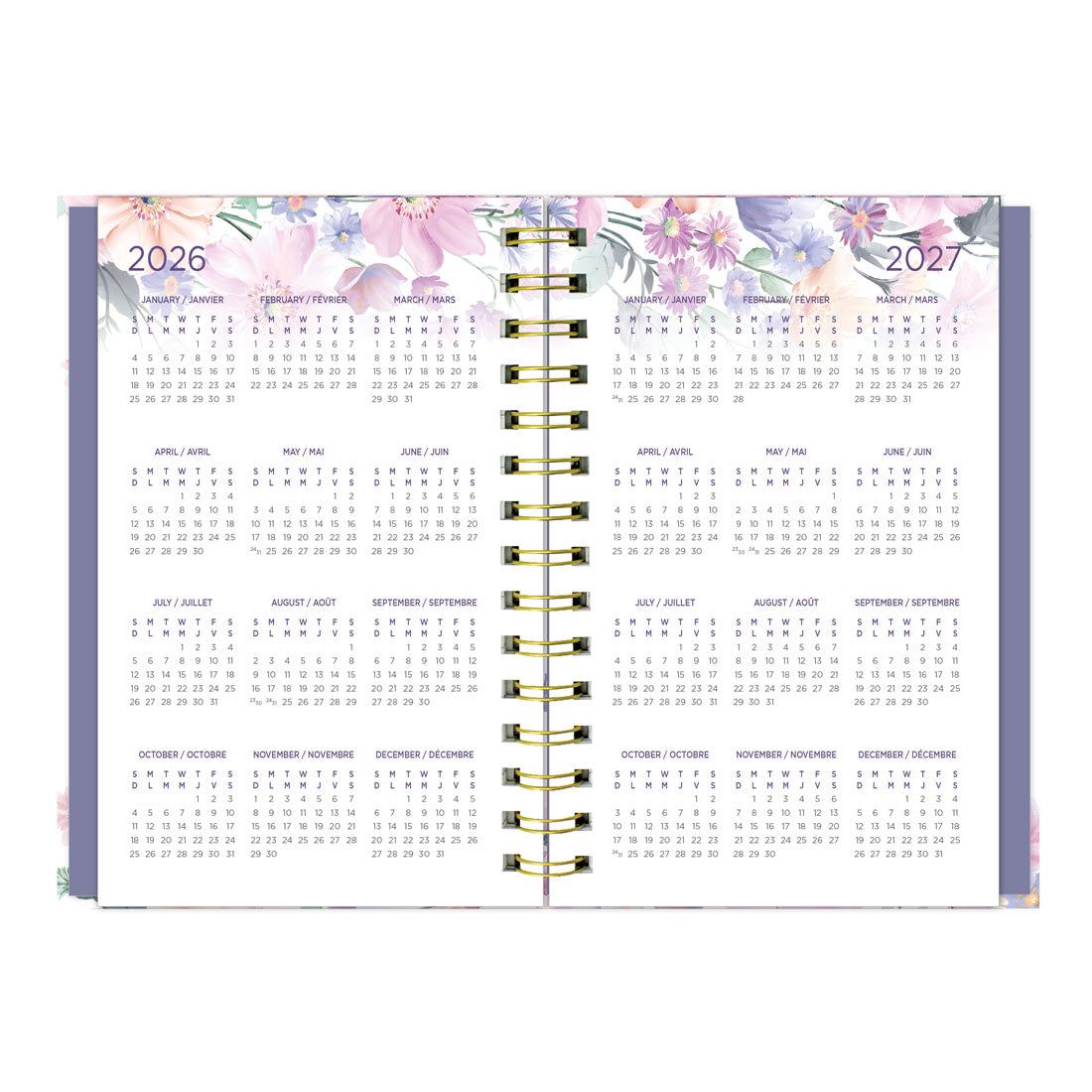 Blueline Passion Colorful Weekly/Monthly Planner 2026, Trilingual C34001C.01B-26