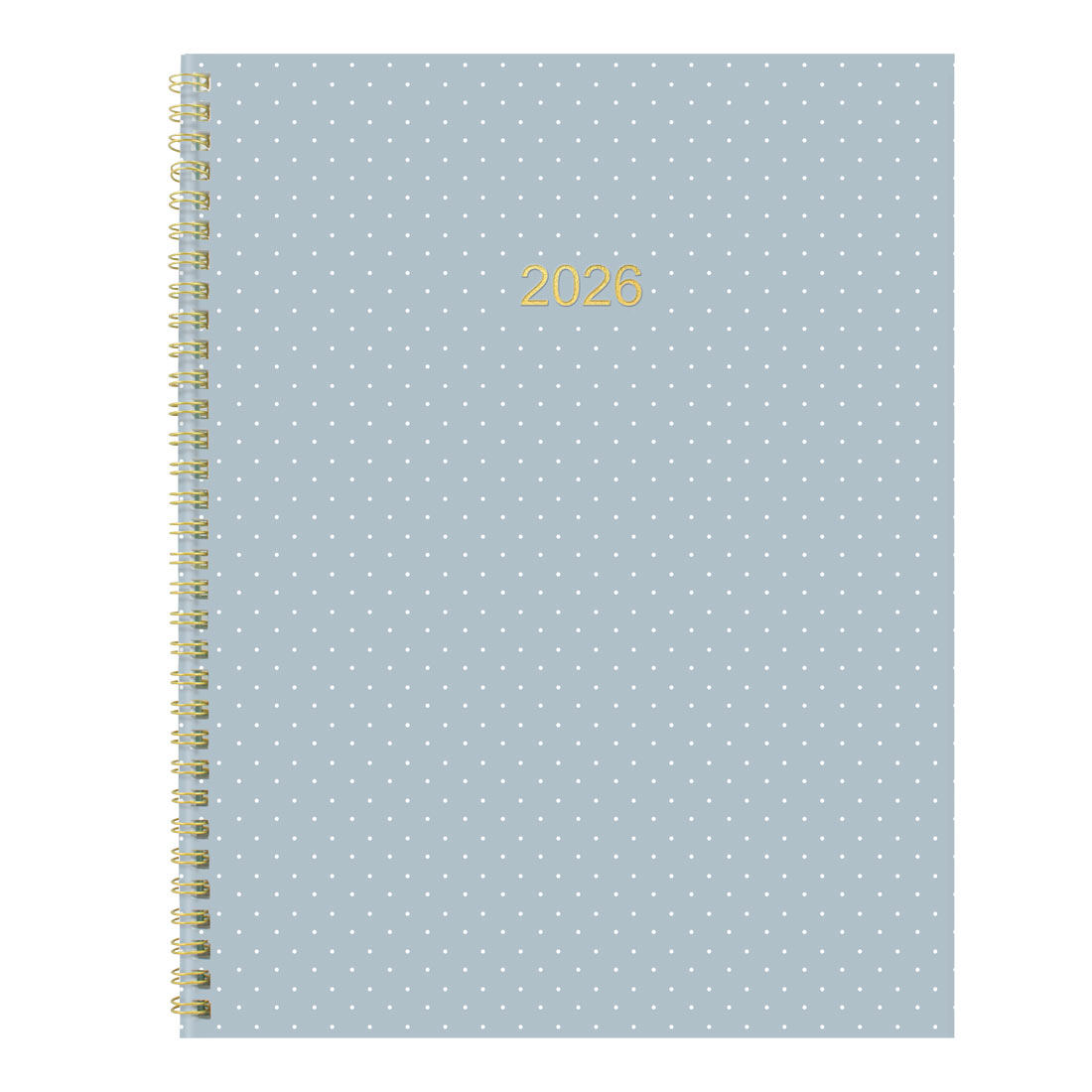 Blueline Minimalist Monthly Planner 2026 C701PT.ASX-26