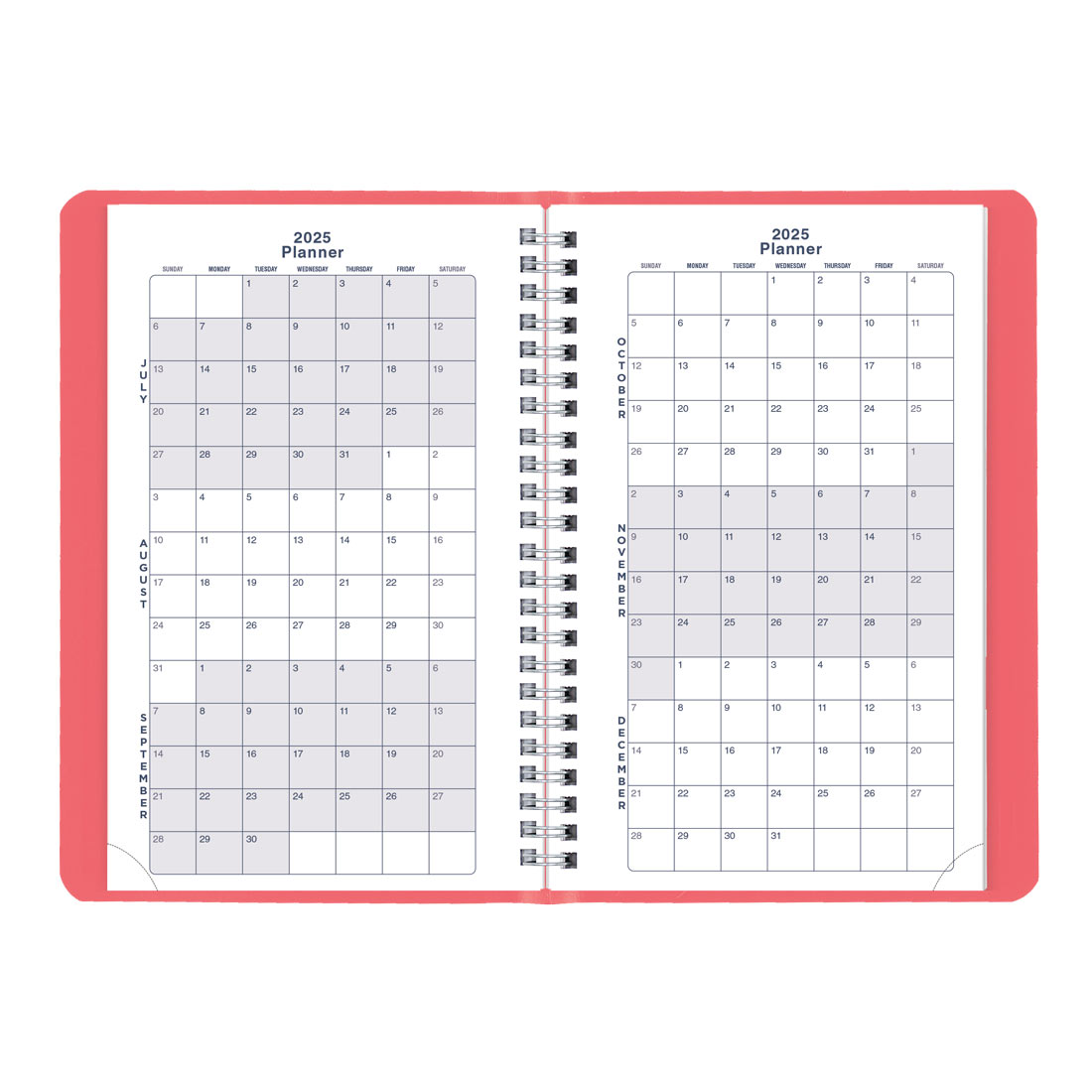 Academic Weekly Planner, Fashion, 2025-2026, Blueline CA101F-26 #color_fashion-pink