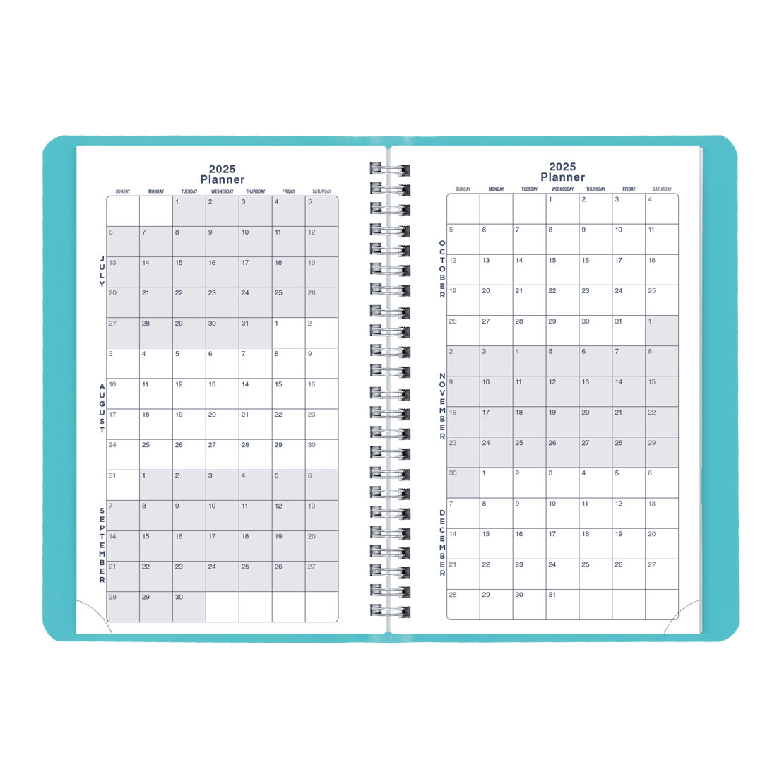 Academic Weekly Planner, Fashion, 2025-2026, Blueline CA101F-26 #color_fashion-blue