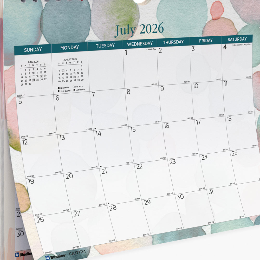 Academic Monthly Small Wall Calendar 2027, English, Splash (CA171114-27)